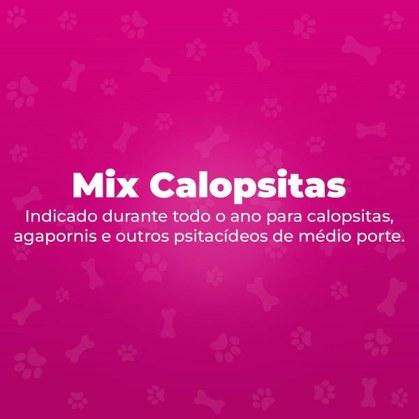 Ração Megazoo Mix Calopsitas Com Vita Care 6kg Imagem de Ração Megazoo Mix Calopsitas Com Vita Care 6kg