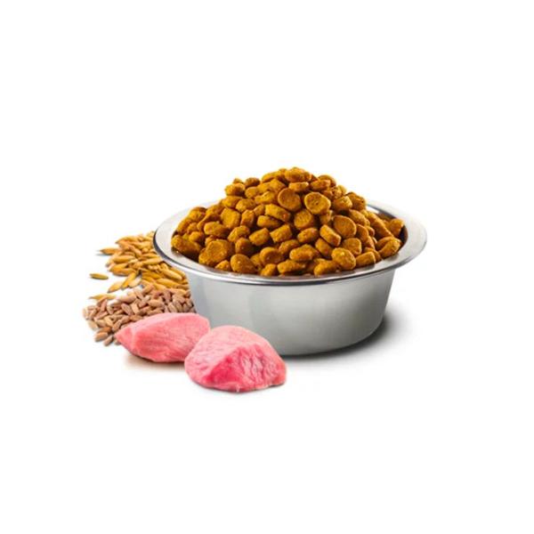 Imagem de Ração N&D Tropical Selection Para Gatos Castrados Sabor Frango, Cereais e Frutas Tropicais - 7 Kg