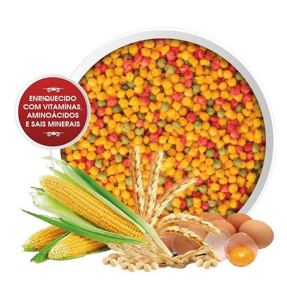 Ração para Curió Bicudo Azulão 500g Vitamina Extrusada Completa para Pássaros Bolinha Colorida - Biotron Zootécnica Imagem de Ração para Curió Bicudo Azulão 500g Vitamina Extrusada Completa para Pássaros Bolinha Colorida