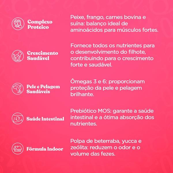 Ração para Gatos Filhotes Quatree Gourmet Sabor Carne e Leite 1Kg Imagem de Ração para Gatos Filhotes Quatree Gourmet Sabor Carne e Leite 1Kg