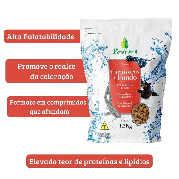 Imagem de Ração para Peixes Poytara Carnívoros de Fundo Pellets G 1,2Kg