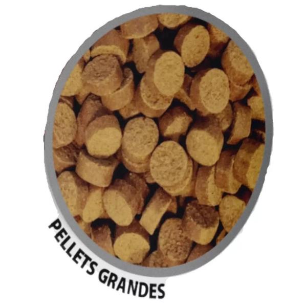 Imagem de Ração para Peixes Poytara Carnívoros de Fundo Pellets G 1,2Kg