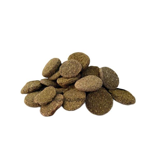 Imagem de Ração Peixe Fundo Herbívoros Prodac Algae Wafers 100G Kit