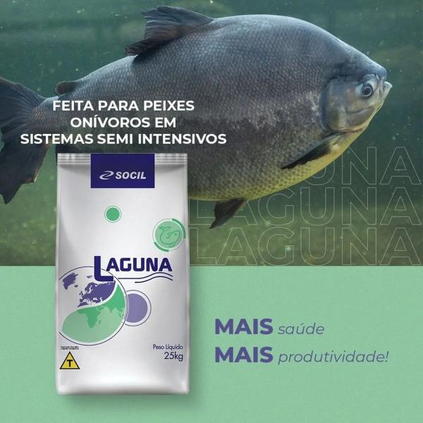 Imagem de Ração Peixe Laguna 4 a 6mm 2 Kg Ceva Criação Pesca Pesqueiro