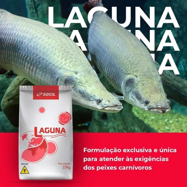 Imagem de Ração Peixe Laguna 6 a 8mm 2 Kg Ceva Criação Pesca Pesqueiro