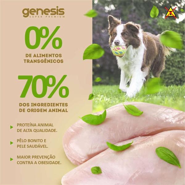 Imagem de Ração Premiatta Genesis Raças Médias 6kg