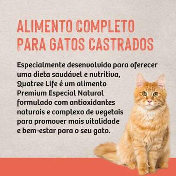 Imagem de Ração Quatree Life Para Gatos Castrados Salmão E Arroz 3kg