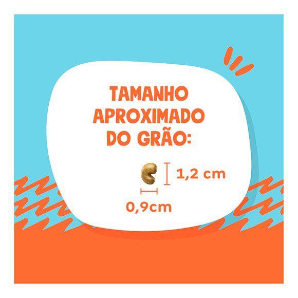 Ração Quatree Select Cães Adultos Raças Pequenas Frango e Arroz 10,1kg Imagem de Ração Quatree Select Cães Adultos Raças Pequenas Frango e Arroz 10,1kg