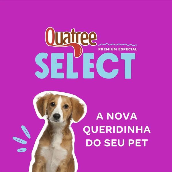 Imagem de Ração Quatree Select Cão Filhote Raças Médias e Grandes Premium Especial 15 kg