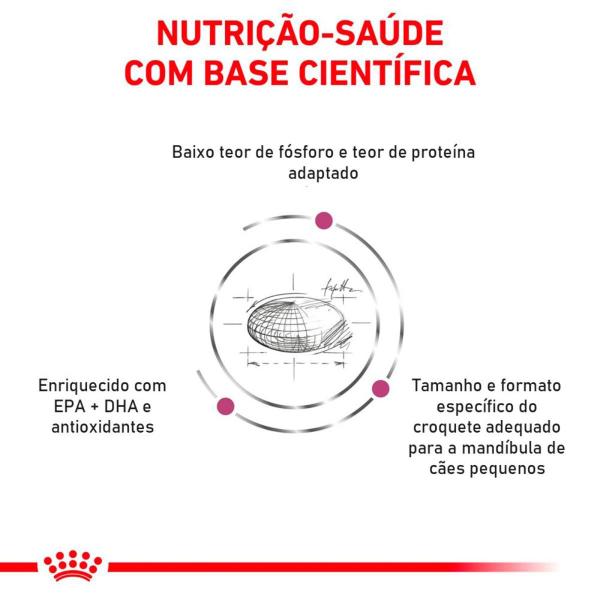 Imagem de Ração Royal Canin 2Kg Renal Small Dog Para Cães Adultos