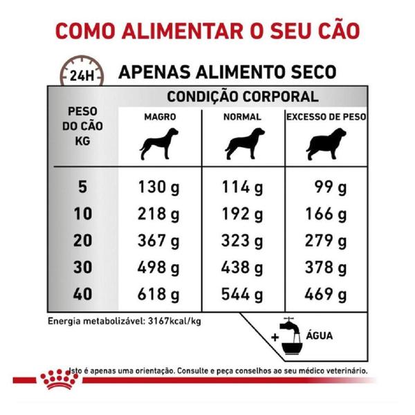 Imagem de Ração Royal Canin Canine Veterinary Diet Gastro Intestinal High Fibre para Cães Adultos - 2 Kg