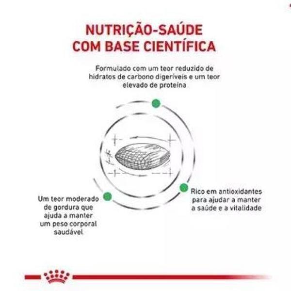 Racao royal canin diabetic 1,5kg Imagem de Racao royal canin diabetic 1,5kg