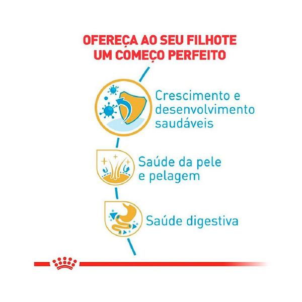 Imagem de Ração Royal Canin Golden Retriever para Cães Filhotes - 3kg