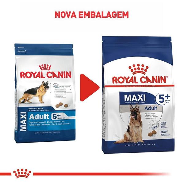 Ração Royal Canin Maxi Adult 5+ para Cães Adultos de Raças Grandes com 5 Anos ou mais - 15 Kg Imagem de Ração Royal Canin Maxi Adult 5+ para Cães Adultos de Raças Grandes com 5 Anos ou mais - 15 Kg