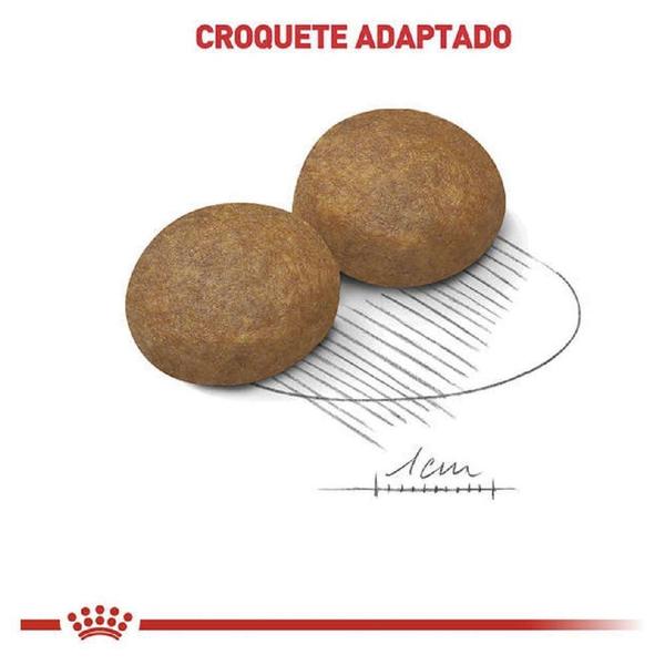 Ração Royal Canin Maxi Adult 5+ para Cães Adultos de Raças Grandes com 5 Anos ou mais - 15 Kg Imagem de Ração Royal Canin Maxi Adult 5+ para Cães Adultos de Raças Grandes com 5 Anos ou mais - 15 Kg