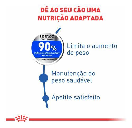 Imagem de Ração Royal Canin Maxi Light 10,1kg