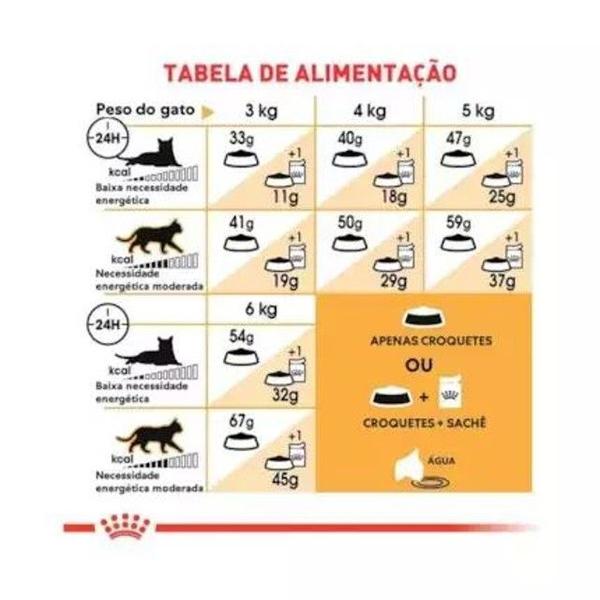 Imagem de Racao royal canin persa 7,5 kg