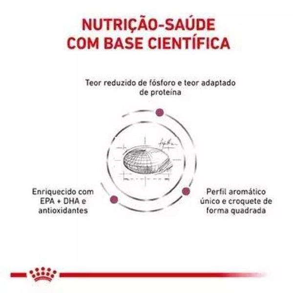Racao royal canin renal special canine 2kg Imagem de Racao royal canin renal special canine 2kg