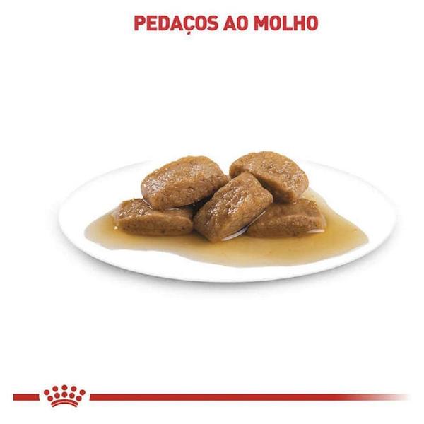 Imagem de Ração Royal Canin Sachê Size Health Nutrition Adult Wet para Cães Adultos Raças Grandes - 140 g