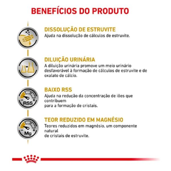Ração Royal Canin Urinary S/0 4KG Para Gatos Adultos Imagem de Ração Royal Canin Urinary S/0 4KG Para Gatos Adultos
