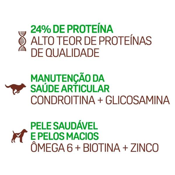 Imagem de Ração Seca Balance Carne, Frango e Vegetais para Cães Adultos Porte Médio e Grande - 10,1 Kg