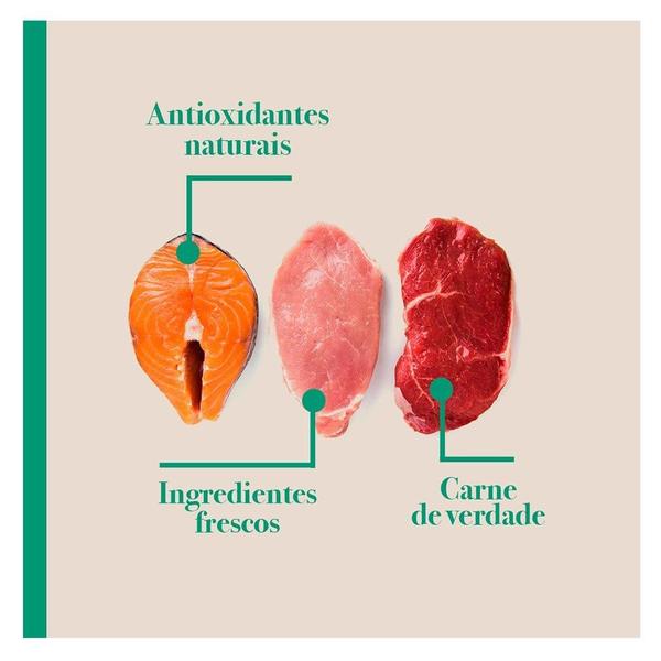 Imagem de Ração Seca Biofresh Mix de Carne, Frutas, Legumes e Ervas Frescas Cães Adultos de Raças Grandes e Gigantes - 3 Kg