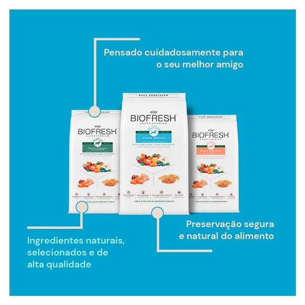 Imagem de Ração Seca Biofresh Mix de Carne, Frutas, Legumes e Ervas Frescas Cães Adultos de Raças Médias - 3 Kg