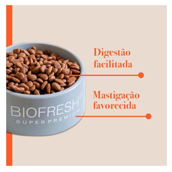 Imagem de Ração Seca Biofresh Mix de Carne, Frutas, Legumes e Ervas Frescas Cães Adultos de Raças Pequenas e Minis - 15 Kg