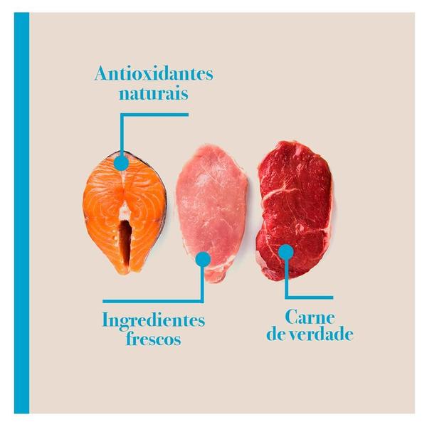 Imagem de Ração Seca Biofresh Mix de Carne, Frutas, Legumes e Ervas Frescas Cães Filhotes de Raças Médias - 3 Kg