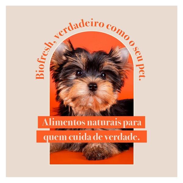 Ração Seca Biofresh Mix de Carne, Frutas, Legumes e Ervas Frescas Cães Filhotes de Raças Pequenas e Minis - 1 Kg Imagem de Ração Seca Biofresh Mix de Carne, Frutas, Legumes e Ervas Frescas Cães Filhotes de Raças Pequenas e Minis - 1 Kg