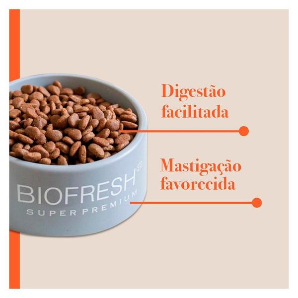 Ração Seca Biofresh Mix de Carne, Frutas, Legumes e Ervas Frescas Cães Filhotes de Raças Pequenas e Minis - 1 Kg Imagem de Ração Seca Biofresh Mix de Carne, Frutas, Legumes e Ervas Frescas Cães Filhotes de Raças Pequenas e Minis - 1 Kg