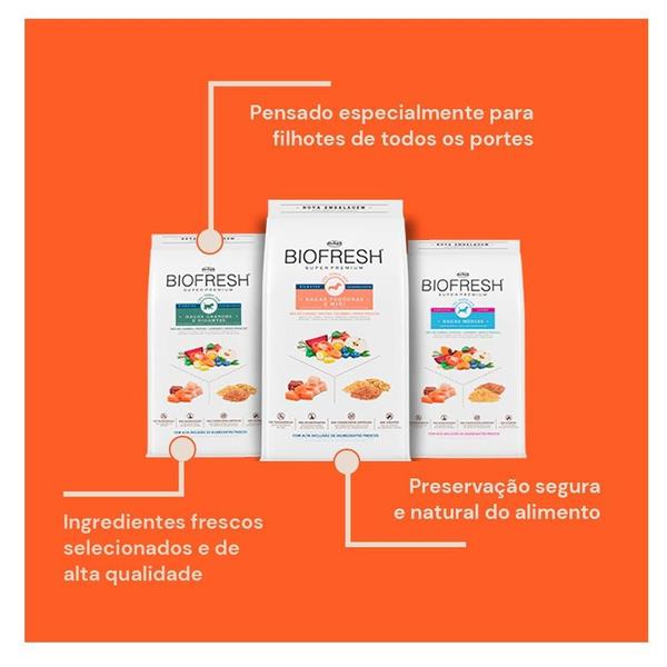 Ração Seca Biofresh Mix de Carne, Frutas, Legumes e Ervas Frescas Cães Filhotes de Raças Pequenas e Minis - 1 Kg Imagem de Ração Seca Biofresh Mix de Carne, Frutas, Legumes e Ervas Frescas Cães Filhotes de Raças Pequenas e Minis - 1 Kg