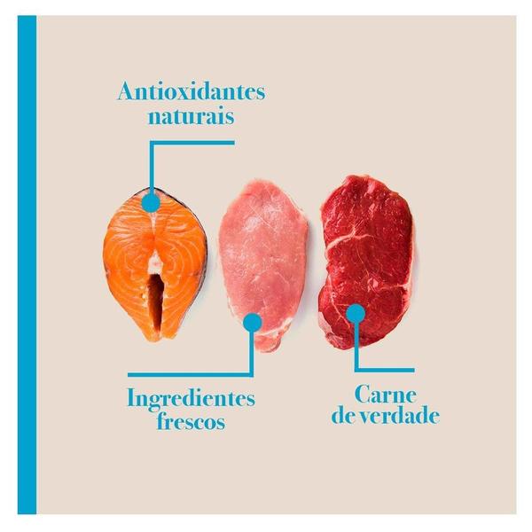 Imagem de Ração Seca Biofresh Mix de Carne, Frutas, Legumes e Ervas Frescas Light Cães de Raças Médias - 10,1 Kg