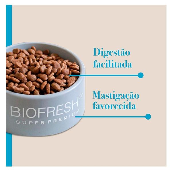 Imagem de Ração Seca Biofresh Mix de Carne, Frutas, Legumes e Ervas Frescas Light Cães de Raças Médias - 3 Kg