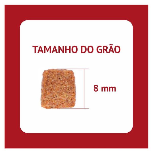 Imagem de Ração Seca Prodog Frango e Legumes para Cães Adultos Raças Pequenas e Médias - 10,1 Kg