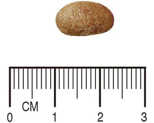 Ração Seca Total Equilíbrio Veterinary Hipoalergênica Problemas De Pele Para Cães Adultos 2kg - Equilibrio Imagem de Ração Seca Total Equilíbrio Veterinary Hipoalergênica Problemas De Pele Para Cães Adultos 2kg