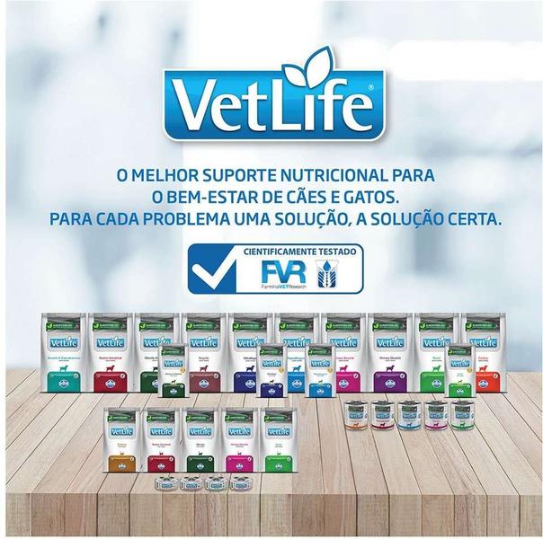 Imagem de Ração Seca Vet Life Natural Obesity e Diabetic Fish para Cães Adultos Obesos e/ou com Diabetes Mellitus  - 2Kg