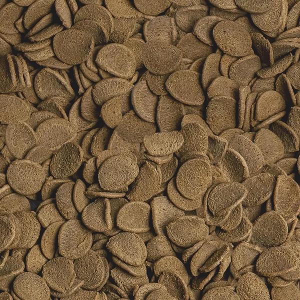 Ração Sera Vipachips 90g Botias Kulli Corydoras Cascudos Imagem de Ração Sera Vipachips 90g Botias Kulli Corydoras Cascudos