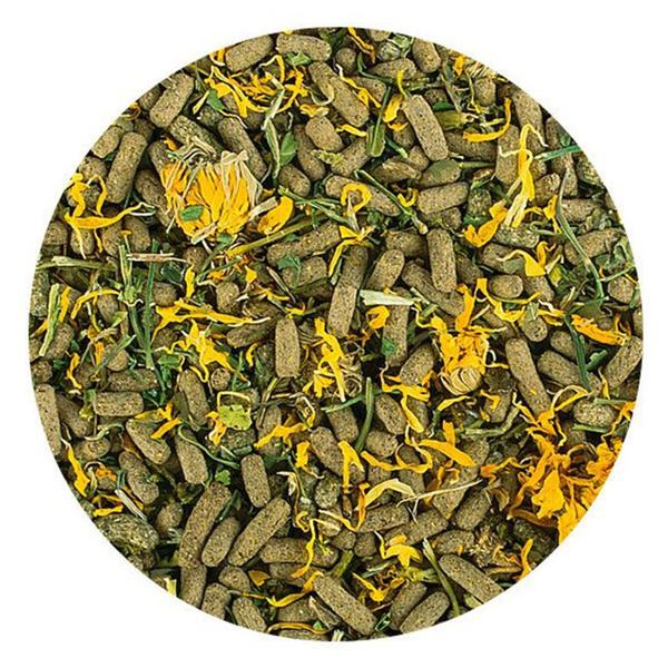 Ração tropical soft line reptiles herbivore 260g Imagem de Ração tropical soft line reptiles herbivore 260g