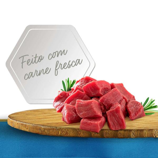 Imagem de Ração úmida Fórmula Natural Cães Adultos Fresh Meat Gourmet Carne, Abóbora e Chia - Formula Natural