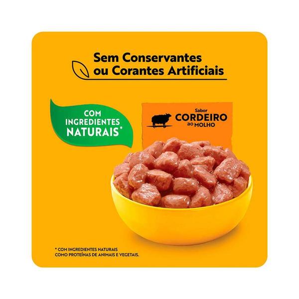 Imagem de Ração Úmida Pedigree Sachê Cordeiro ao Molho para Cães Adultos de Raças Pequenas 100 g