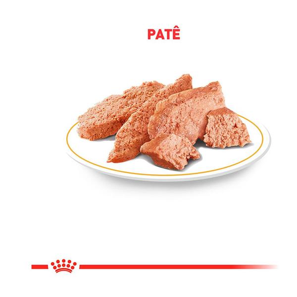 Ração Úmida Royal Canin Pomeranian para Cães Adultos 85g Imagem de Ração Úmida Royal Canin Pomeranian para Cães Adultos 85g