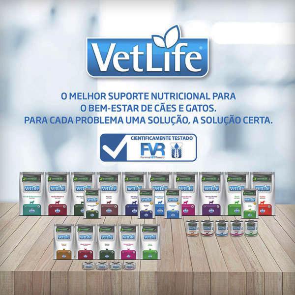 Imagem de Ração Vet Life Natural Urinary Struvite para Gatos Adultos - 2 Kg