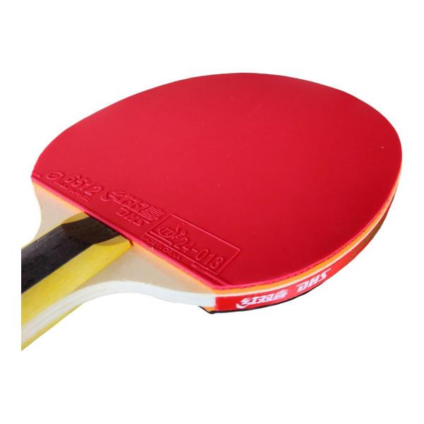 Imagem de Raquete De Ping Pong Dhs 1002 Preta/Vermelha + Raqueteira