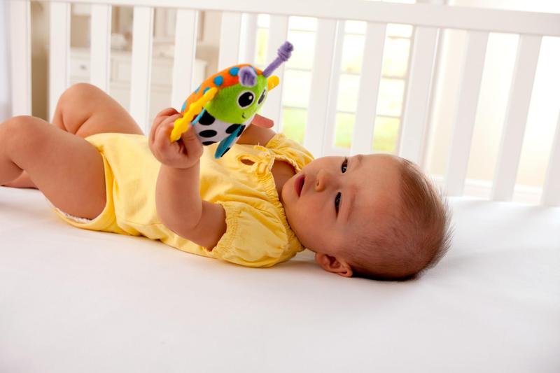 Imagem de Rattle Lamaze Bitty Bite Bug 11,4 cm, pacote com 1