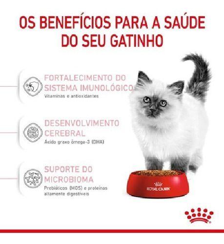 Imagem de Rc kitten 400gr