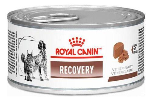 Imagem de Rc lata recovery canine feline 195g