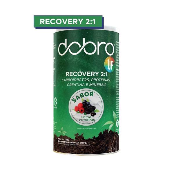 Imagem de Recovery 2:1 480g - Dobro