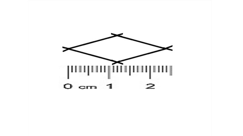 Imagem de Rede De Arrasto Picaré 2.4(12mm) Fio (210/6) 10mts Com Funil