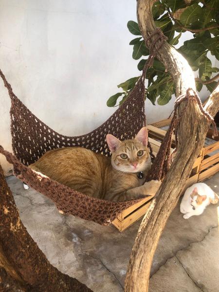 Rede para Gatos em crochê 30 x 30cm em malha com cores variadas - Ronronaria Imagem de Rede para Gatos em crochê 30 x 30cm em malha com cores variadas